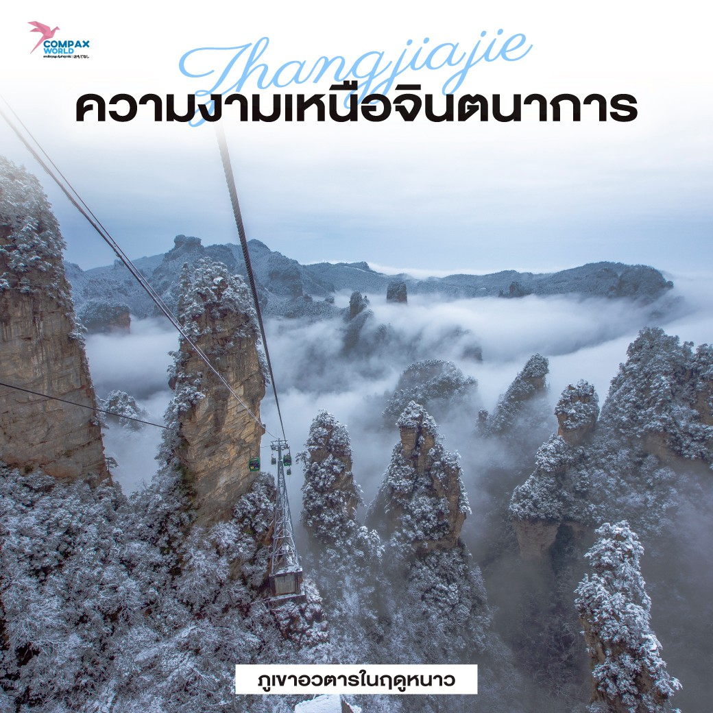 เที่ยวจีน เที่ยวจีนพรีเมี่ยม โปรแกรมเที่ยวจีน